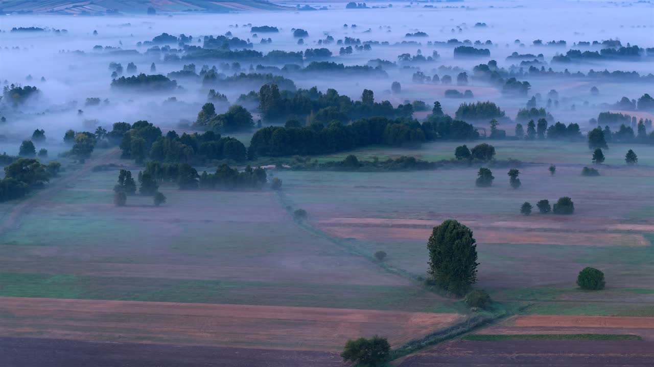 Morning fog blankets Nida River valley meadows in serene Polish landscape