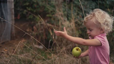 una niña linda lanza una manzana a un corral de cabras