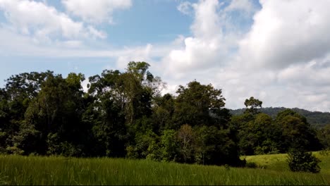 Paisaje-En-El-Parque-Nacional-De-Khao-Yai,-árboles-Y-Montañas-Con-Grandes-Nubes-Esponjosas-Que-Proyectan-Sombras