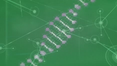 Animation-of-dna-strand-spinning-and-network-of-connections-with-spots-on-green-background