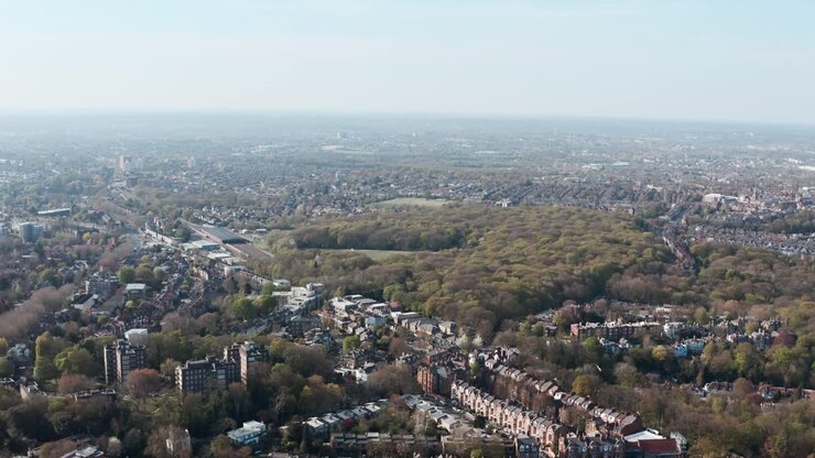 Ripresa con drone sopra il bosco di Highgate, nord di Londra.