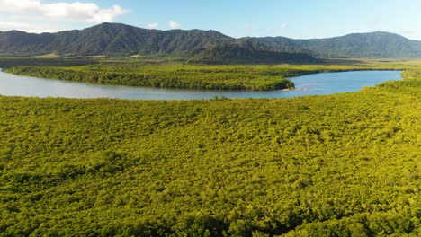 Daintree-River-flowing-through-Daintree-Rainforest,-Queensland-Australia,-aerial