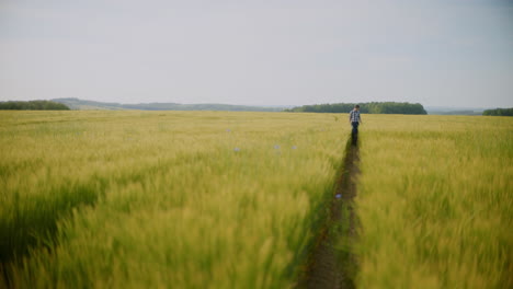 person walking through a wheat field