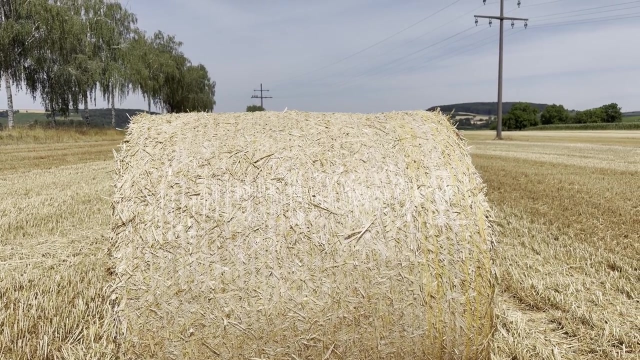 Een close-up van een ronde hooibaal onthult een geoogst veld met verspreide balen terwijl de camera omhoog kantelt op een zonnige landelijke dag