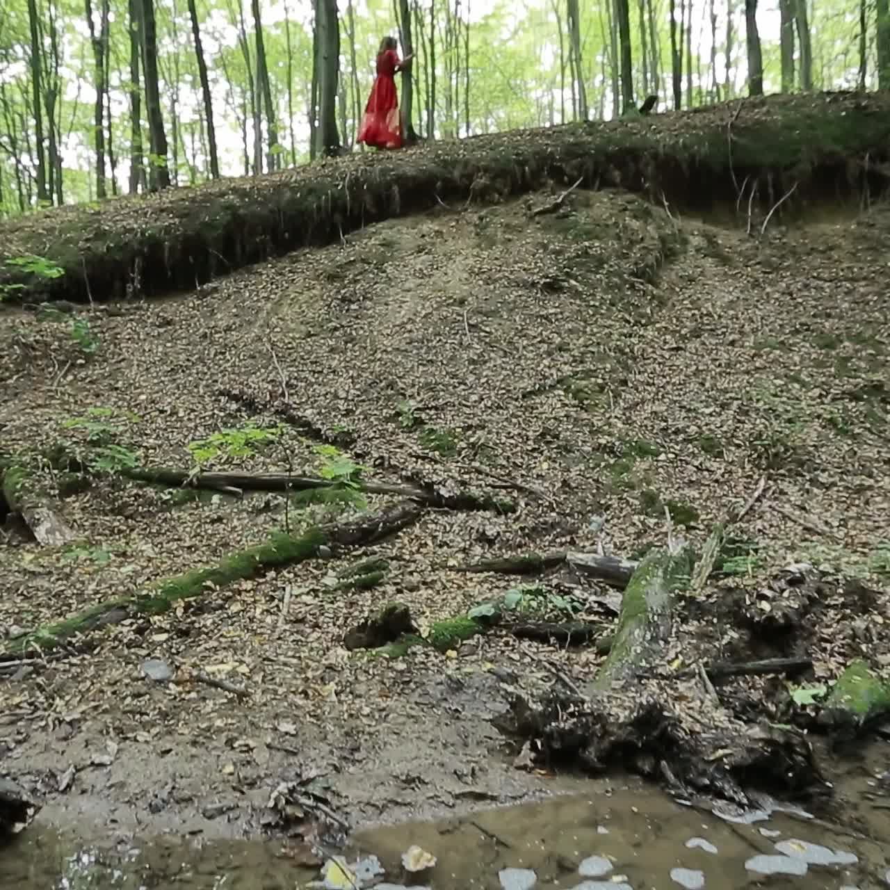 Woman Walking In Mysterious Forest