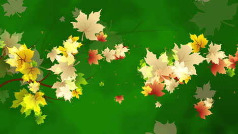 Colorful maple leaves fly chaotically in the wind. Autumn animation on a green abstract background with tree branches. Looped motion graphics.