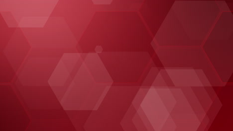 hexagon red background abstract backdrop for technology medical business art wallpaper concept art. looped animation.