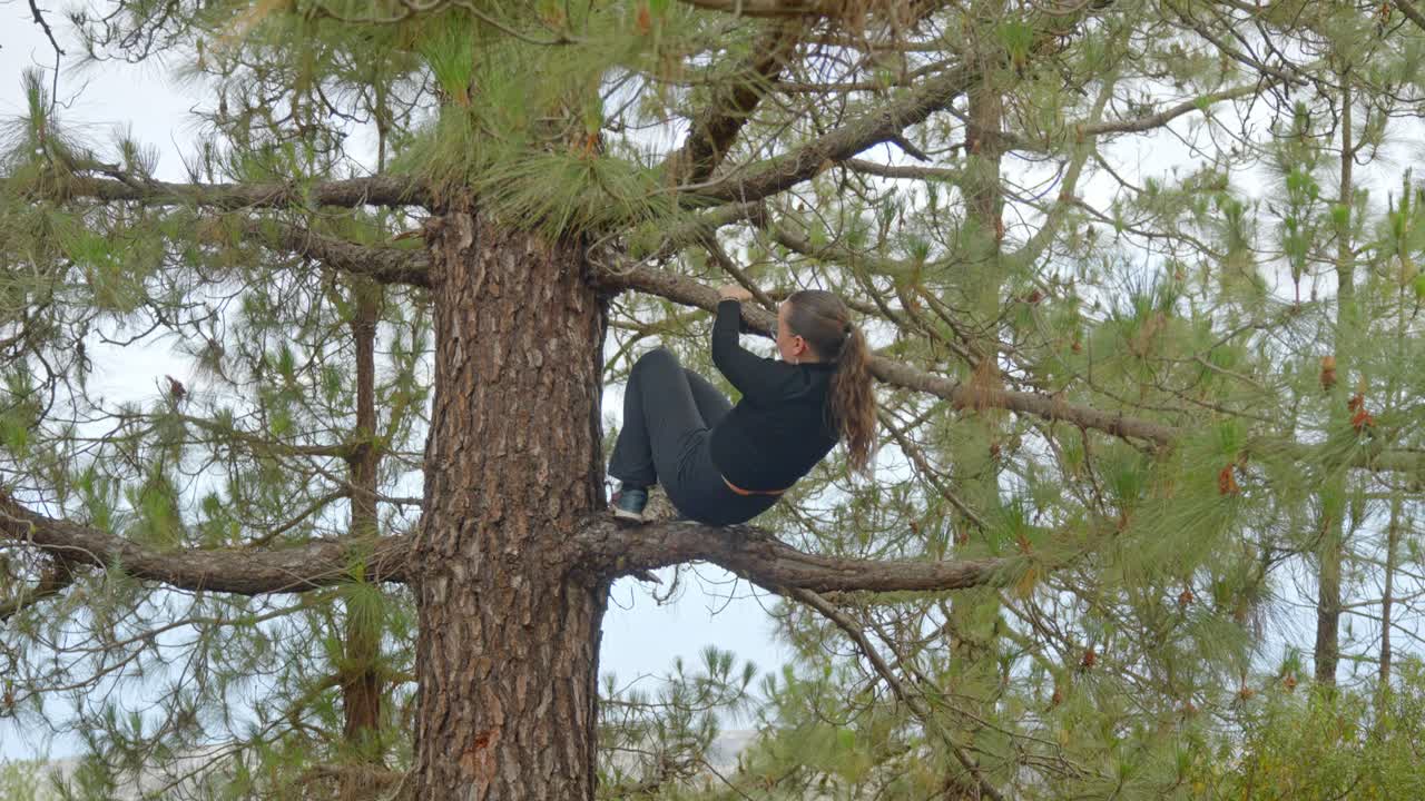 una morena extremista subiendo a un pino en tenerife, vista de atrás