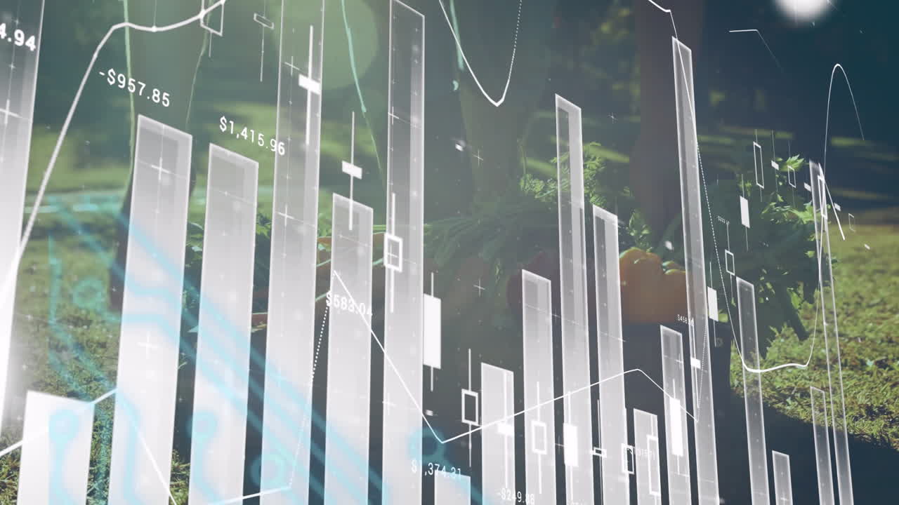 Animation of financial data charts overlaying lush green forest background