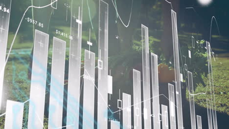 animation of financial data charts overlaying lush green forest background