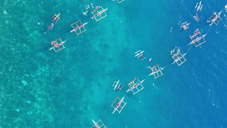 Top-down-shot-of-famous-Whale-Shark-watching-in-beautiful-turquoise-sea-water-from-Cebu-Philippines