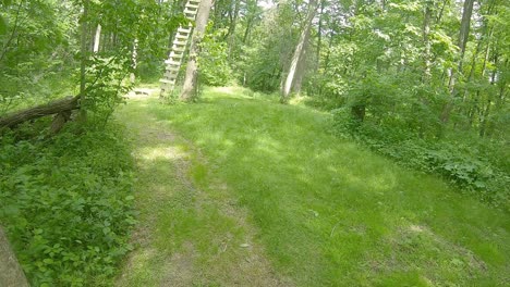 pov from the front of an all terrain vehicle or atv driving on a trail thru the woods with heavy foliage towards a deer stand