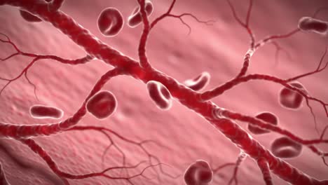 detailed visualization of blood vessels and red blood cells within the human circulatory system, showcasing their structure and functionality in a biological context