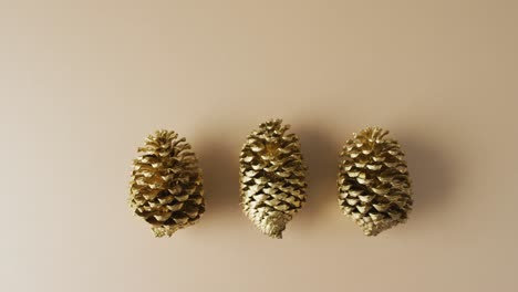 Video-of-pine-cones-lying-on-beige-surface