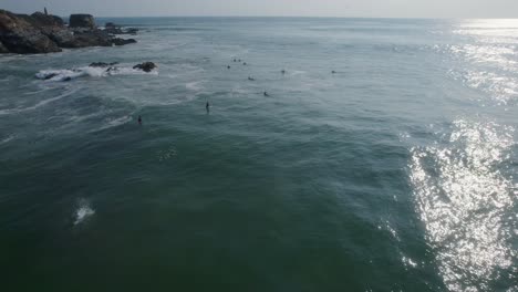 Toma-Aérea-De-Un-Grupo-De-Surfistas-Esperando-En-Una-Ola-Con-Un-Gran-Pájaro-Zambulléndose-En-El-Agua