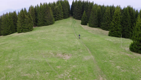 mountain bike rider quickly cycling along a mountaintop trail in the beautiful countryside of liptov, slovakia