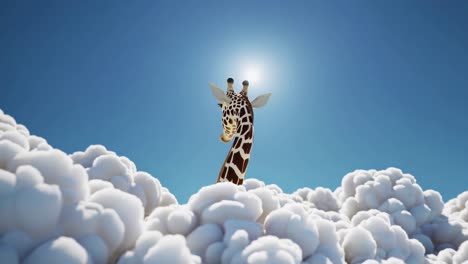 giraffe in a cloud
