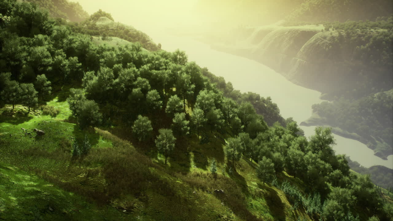 Lush green hillside with sunlight and river during golden hour