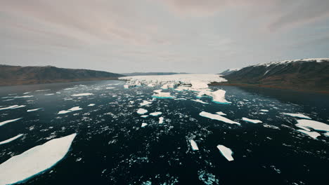 snowy mountains and drifting icebergs in the greenland sea