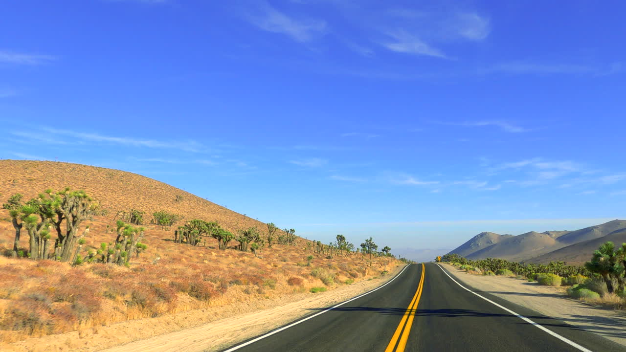 경치 좋은 풍경을 따라 조슈아 나무와 함께 모하비 사막에서 길을 운전