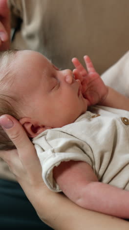 adorable tiny newborn sleeping in mom's hands. careful dad's hand strokes little baby's head. close up. vertical video