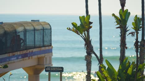 a beautiful sunny day in orange county at a popular local beach in san clemente calfornia