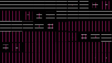 geostripes vj bucles 42