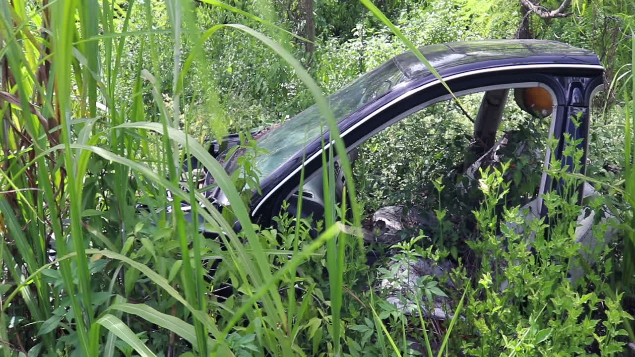 잔디로 뒤인 차의 절반이 버려졌어요.