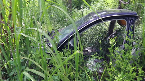 abandodned half of a car in overgrown grass