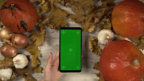 lady touches a chroma key phone in vertical orientation in the middle of autumn composition