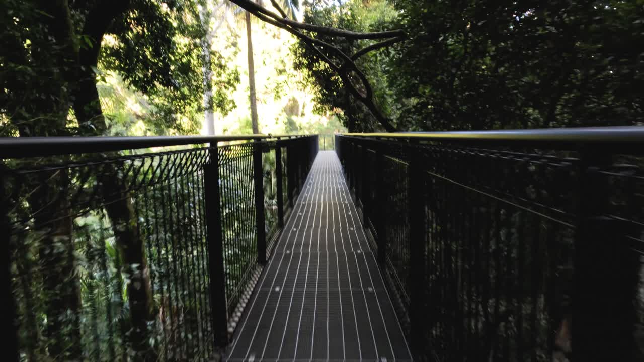 paseo aéreo a través de la cubierta del bosque exuberante