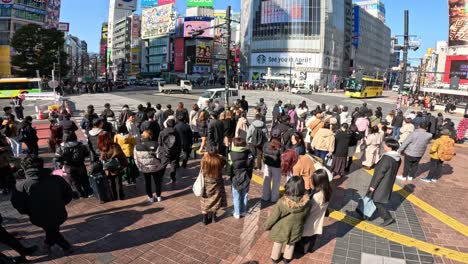 crowds crossing at a busy urban intersection