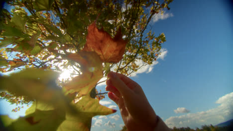 child holding autumn leaves