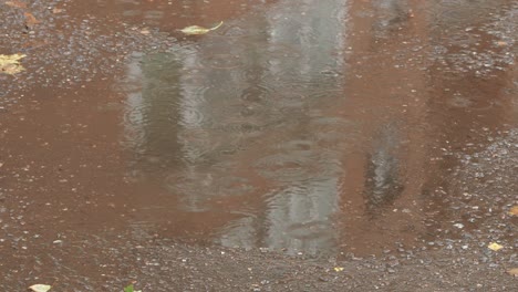 puddle wet asphalt road near urban house in rain