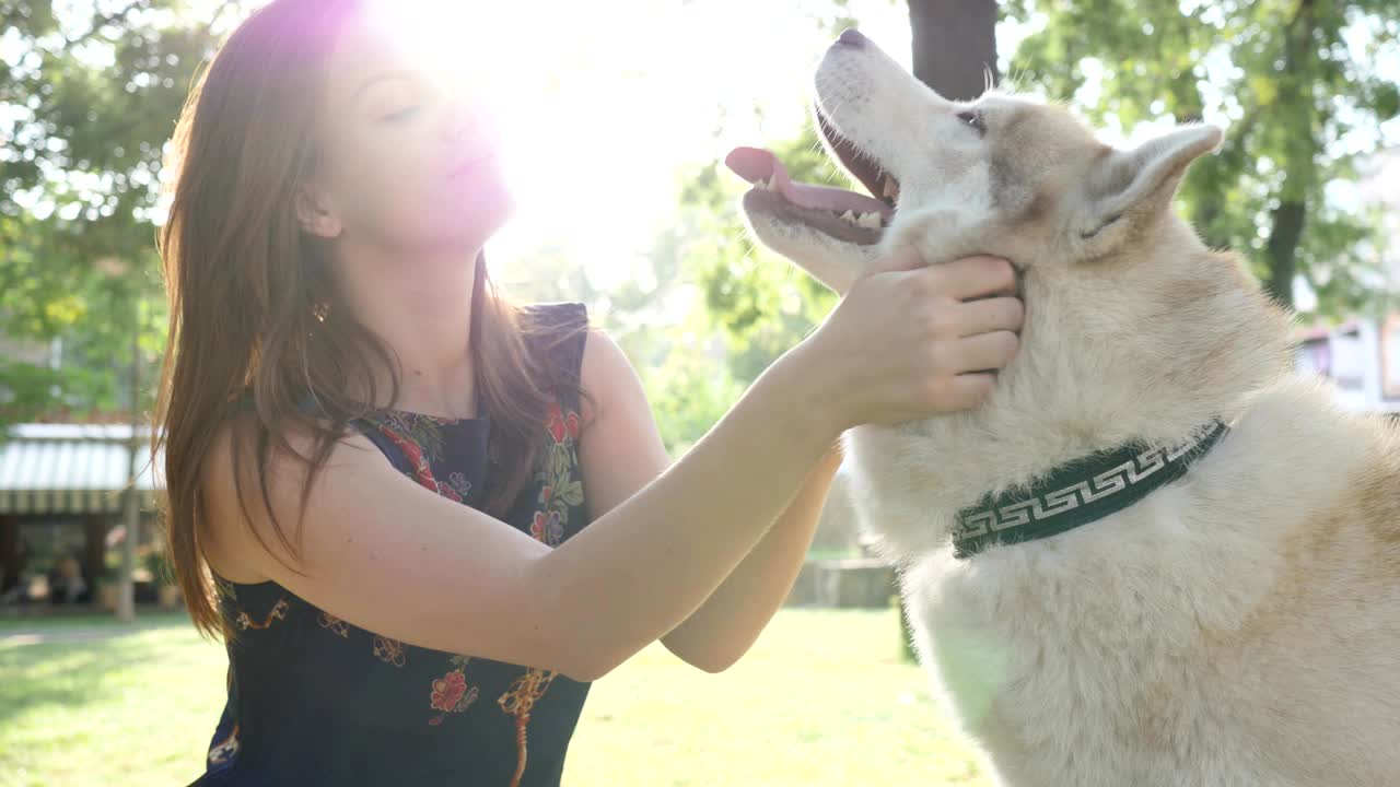 동물에 대한 사랑, 젊은 여성은 백라이트에서 공원에서 사냥개를 포옹합니다.