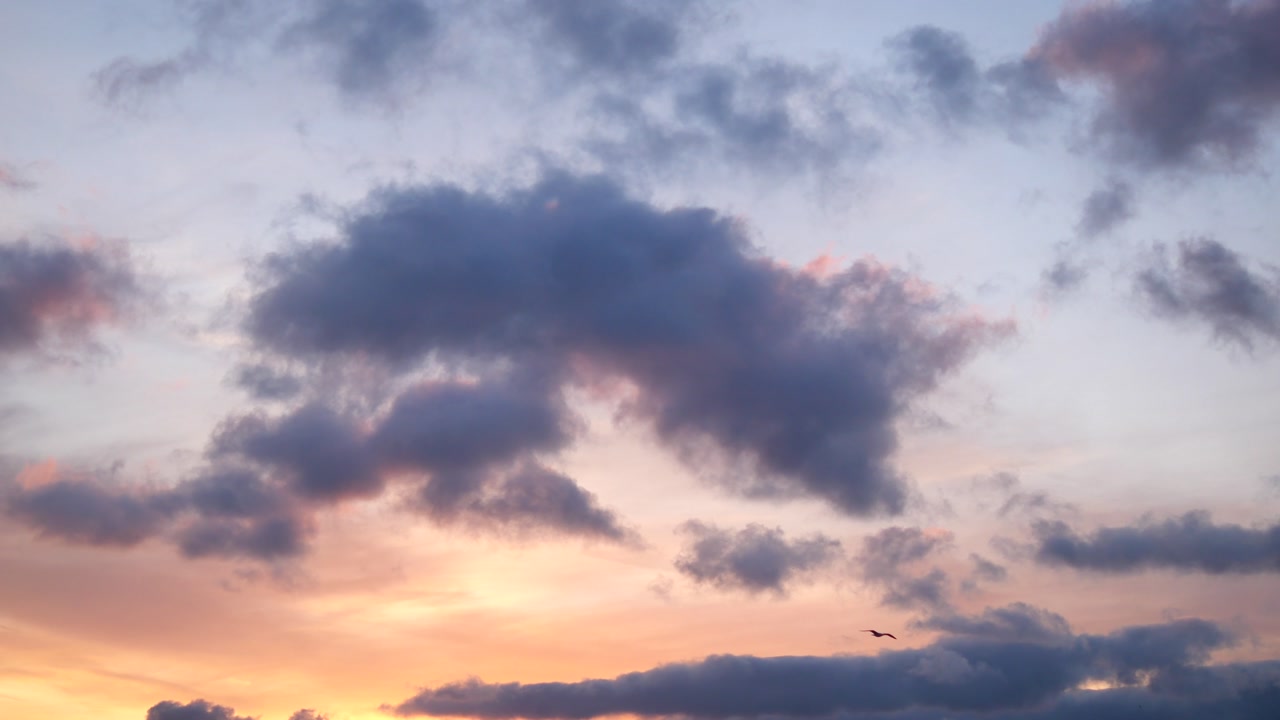 Colorful Sunset Sky with Moving Clouds and a Flying Bird