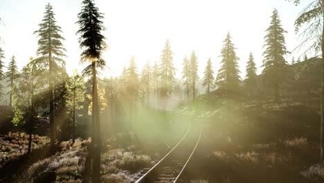 Flight-over-Railway