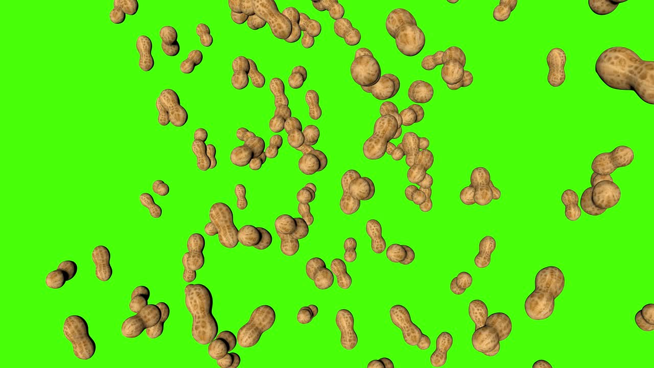 3D peanuts falling animation on green screen chroma key background