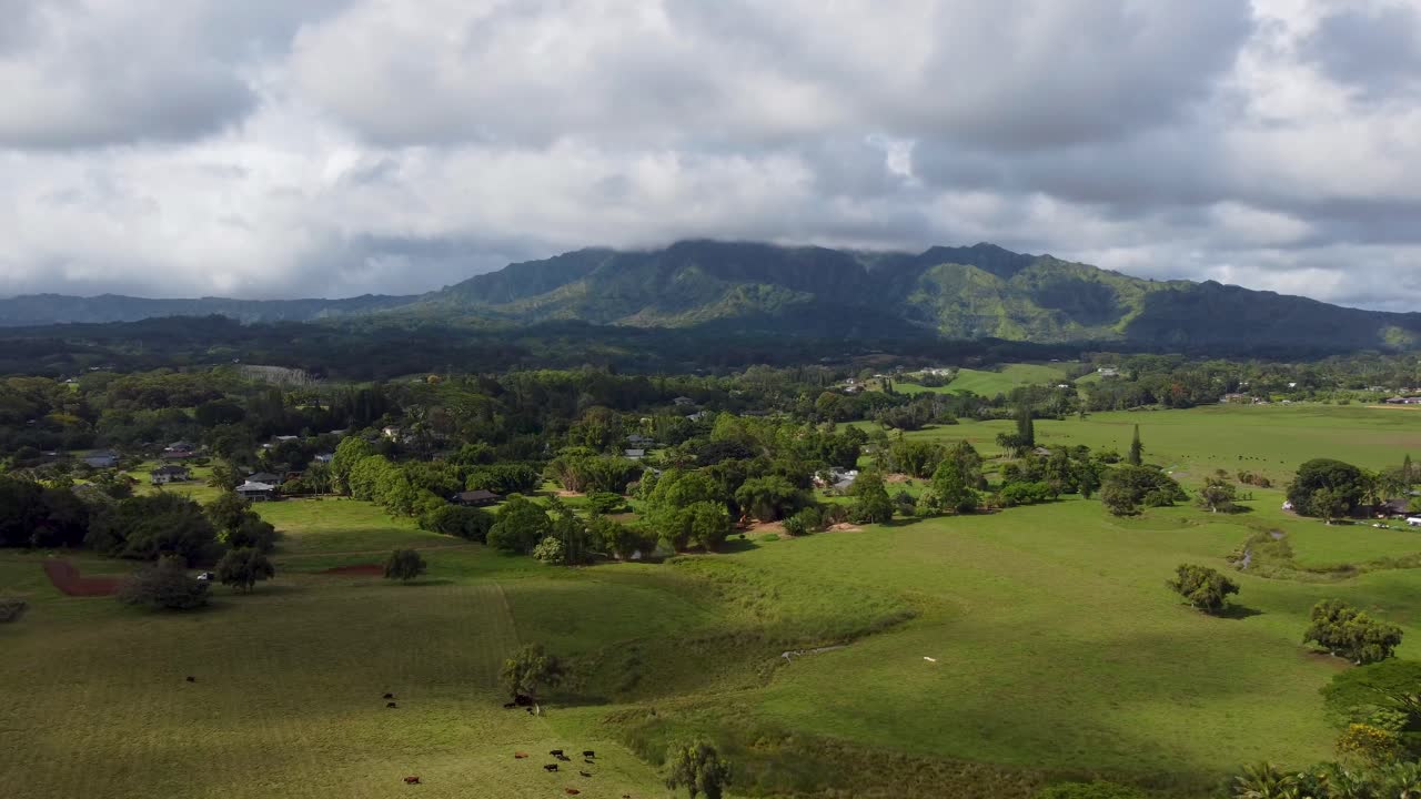 toma aérea cinematográfica de la reserva forestal de kauai, colina kapaa - kauai, hawaii