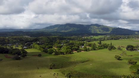 Cinematic-aerial-shot-of-Kauai-forest-reserve,-Kapaa-Hill---Kauai,-Hawaii