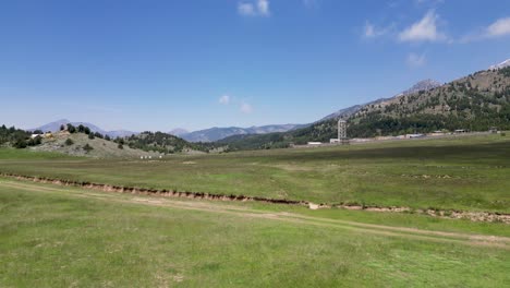 a tapeçaria de grama da natureza