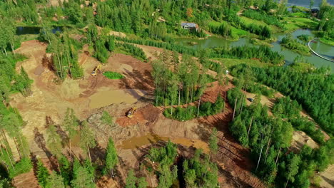 Aerial-drone-rotating-shot-over-pine-forest-with-deforested-trees-by-riverside-on-a-bright-sunny-day