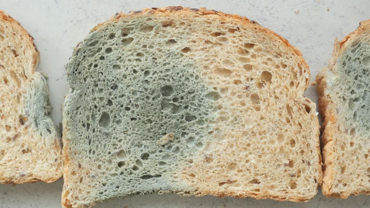 Beschimmelde sneetjes brood