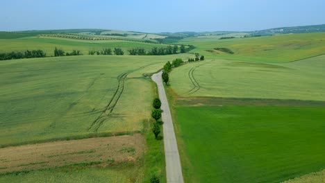Winding-road-fields-either-side-South-Moravia-region-in-Czech-Republic