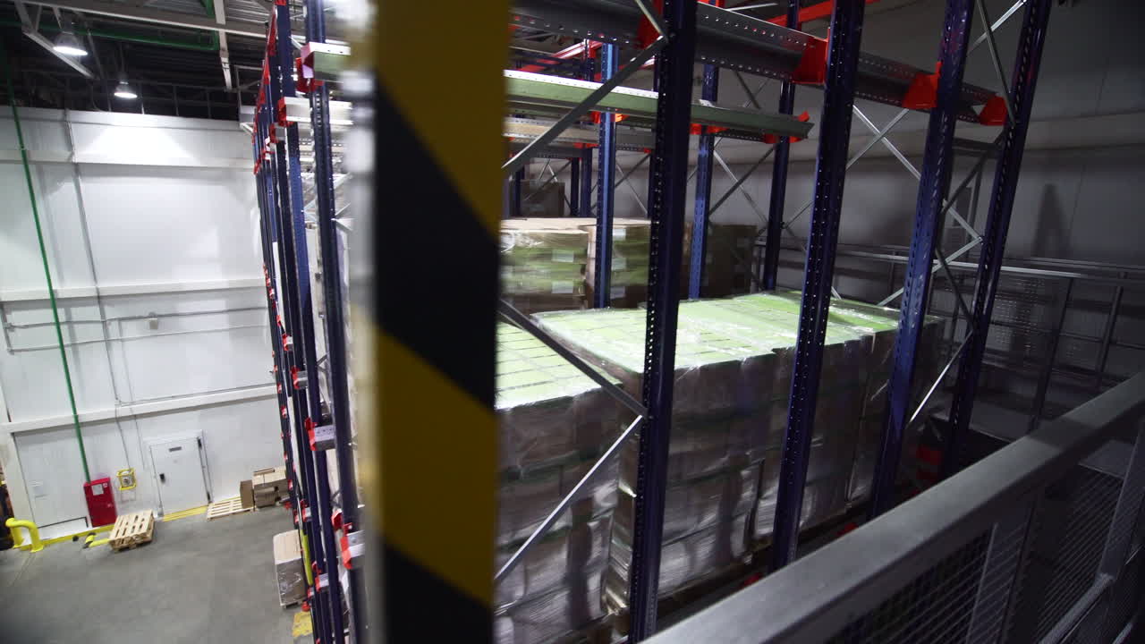 Frozen Goods Warehouse with Automated Storage System