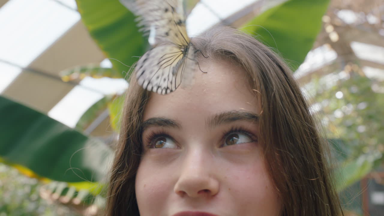 hermosa chica sonriendo con mariposa en la cara aleteando alas divirtiéndose con la vida silvestre en el zoológico de conservación de la naturaleza 4k