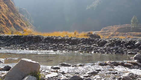 river flowing in mountains, low angle view with water and stones, sunlight making bright shine on water, yellow grass grew in the river