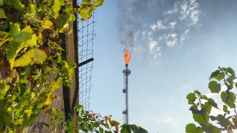 Burning-Gas-flare,-red-vivid-flame-and-smokestack,-behind-bushes-and-fence