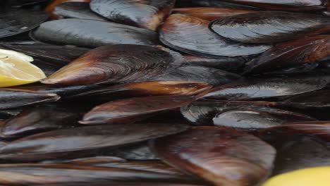 grilled mussels with lemon