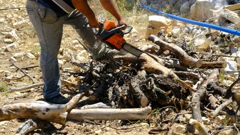 man cutting wood with chainsaw garden